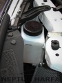 Electronic Valve Protector